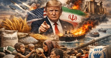 The Role of the Memorandum of Understanding