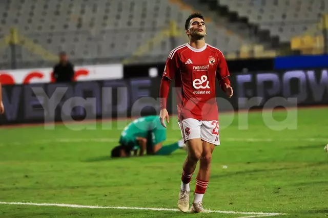 The EFA Ruling and the End of a Domestic Stalemate