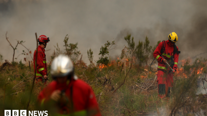 Firefighters of Paris Fire Brigade survey the scene amid the smoke and fire in Marcheprime west of Bordeaux on July 26, 2026