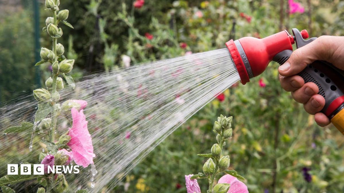 Severe Drought Sparks Criminal Penalties Across Southern and Eastern England