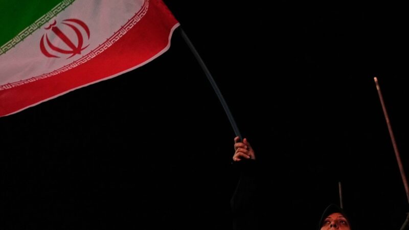 An Iranian pro-government demonstrator waves her country