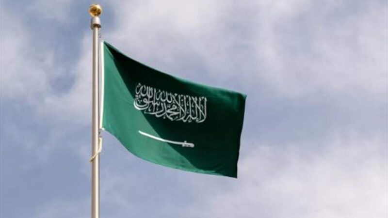 الرياض تقود تحالفًا بحريًا دفاعيًا لحماية الملاحة الدولية