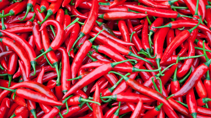 The Link Between Spice and Longevity