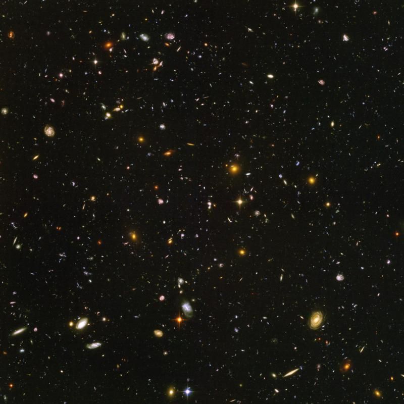 Distinguishing Local Motion from Cosmic Expansion