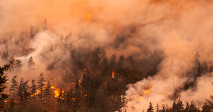 British Columbia Declares State of Emergency Due to Wildfires