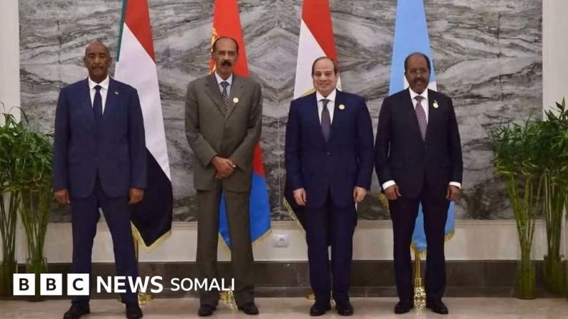 Egypt, Eritrea, Somalia and Sudan Issue Alamein Joint Declaration