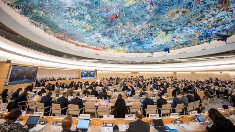 UN Human Rights Council Adopts First Resolution on AI and Human Rights