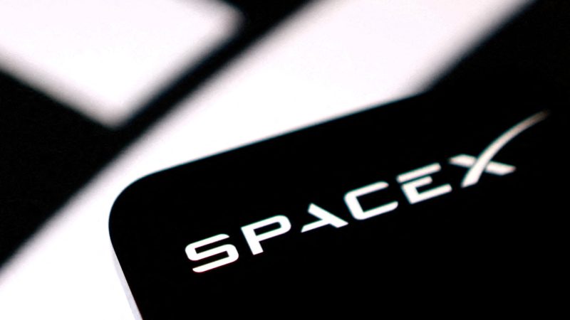The SpaceX logo in this illustration taken June 11, 2026. REUTERS/Dado Ruvic/Illustration/File Photo