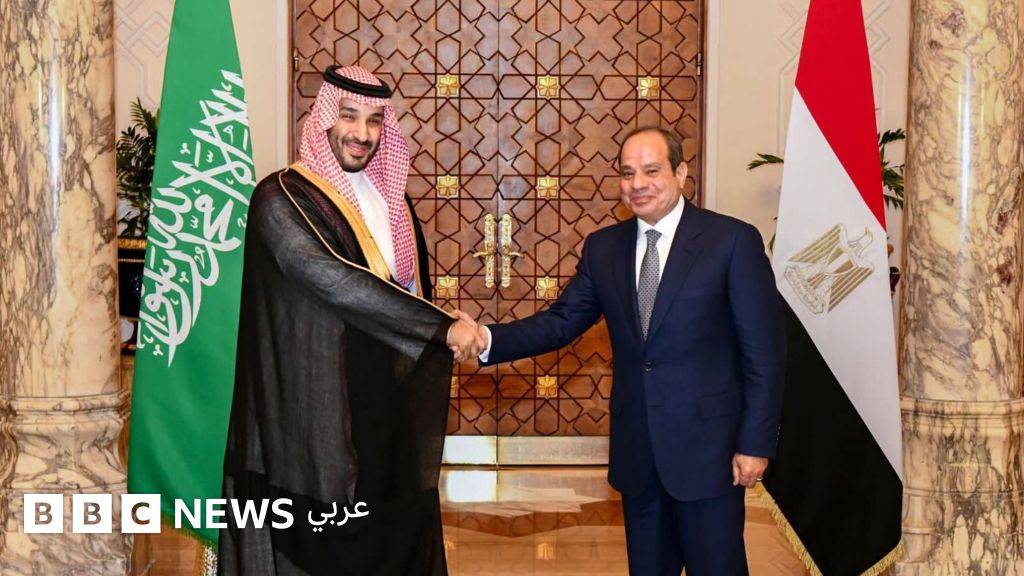 Egypt Council Approves Military Support for Saudi Arabia