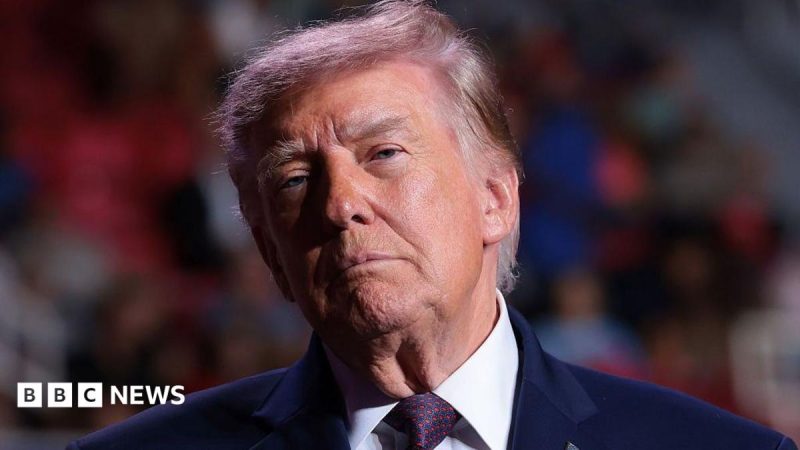 Donald Trump stands in front of a blurred crowd
