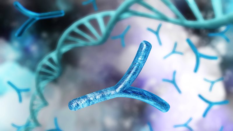 University of Arizona Researchers Link Y Chromosome Erosion to Tumor Growth