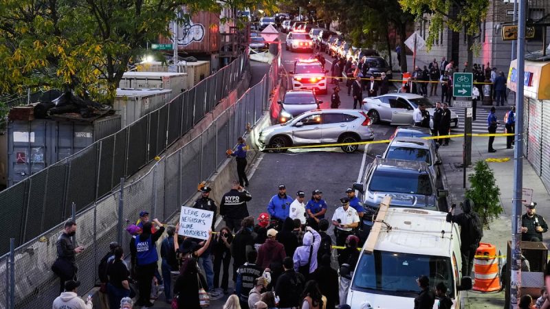 ICE Agent Shoots and Wounds Man During Bronx Enforcement Operation