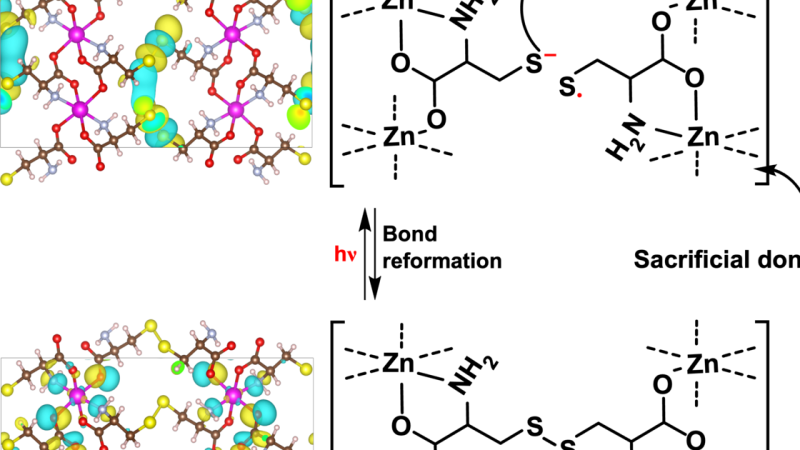 Graphic depicting sunlight's conversion of water to hydrogen