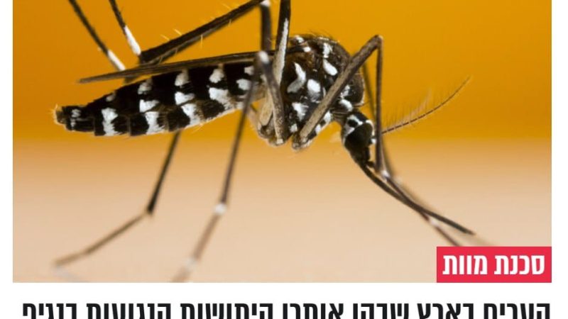 Israel Detects West Nile Virus in Mosquitoes Across Five Regions