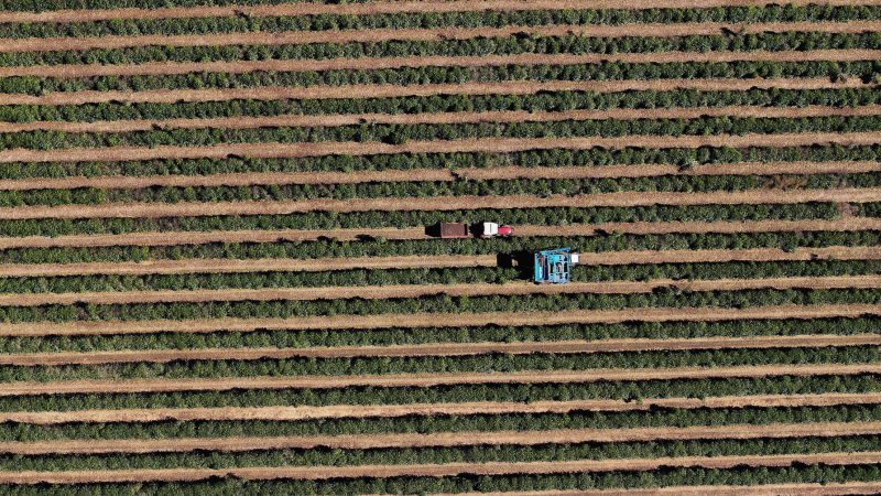 Brazil Coffee Exports Hit 20-Month High in September