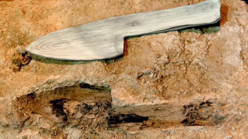 Neanderthal Wooden Tools Found at Abric Romaní Challenge Stone Tool Theory