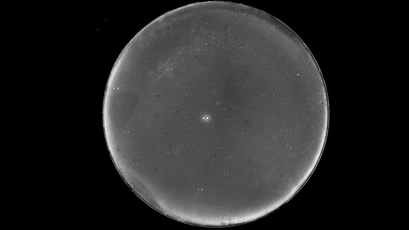 Study Models Potential Habitable Earth-Sized Planet in 70 Ophiuchi