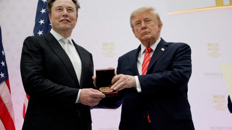 Elon Musk spends 6m to bolster Republican Party in US midterm elections
