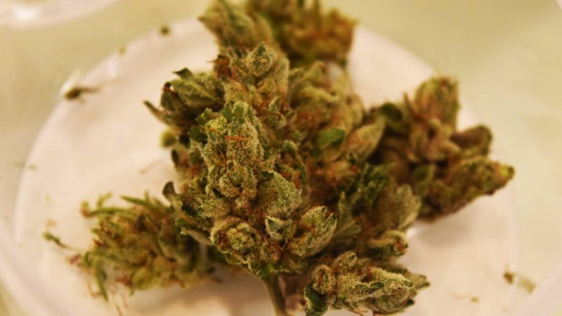Marijuana flower